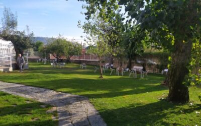 La Primavera y la Tercera Edad: Por qué florecer no tiene edad